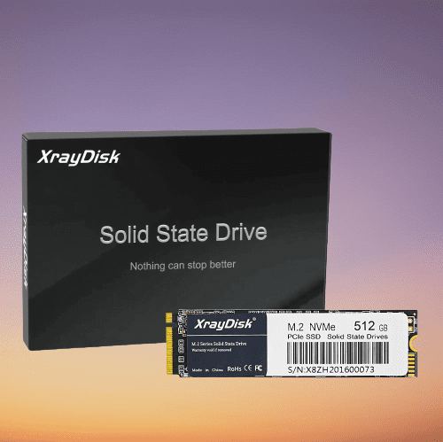 XrayDisk M.2 SSD 256GB PCIe NVME Internal Disk
