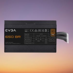 EVGA 650 BR 650W 80+ Bronze Power Supply