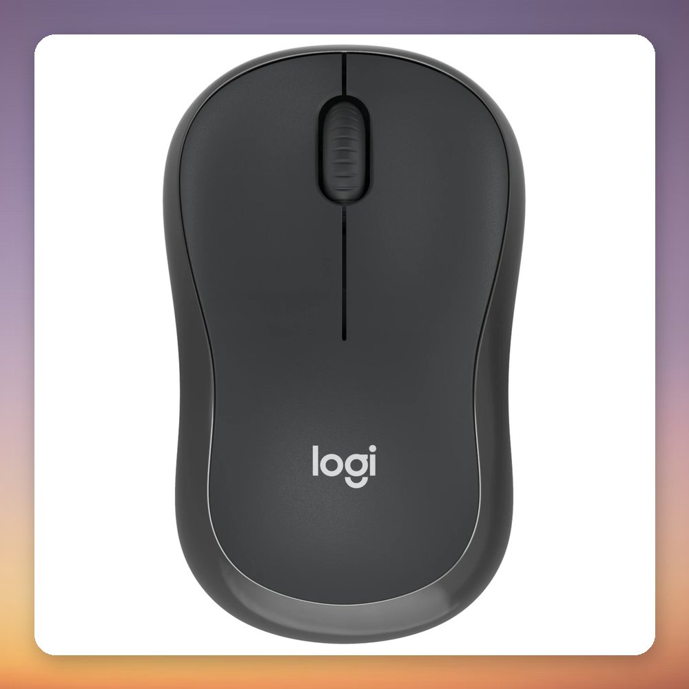 Logitech M240 Silent Wireless Bluetooth Mouse, Graphite, 4000 DPI