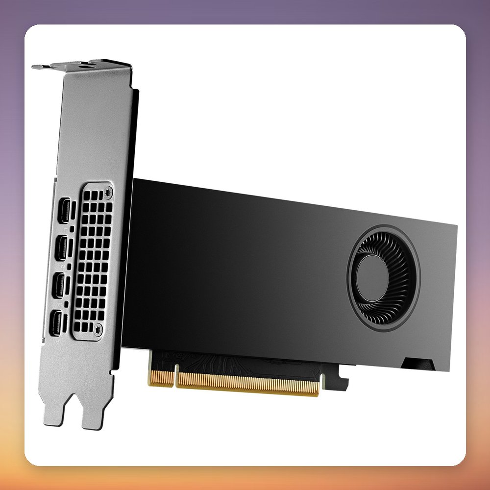 PNY NVIDIA RTX 2000 Ada Generation 16 GB GDDR6 ECC Graphics Card, 4x Mini-DisplayPort – image 2