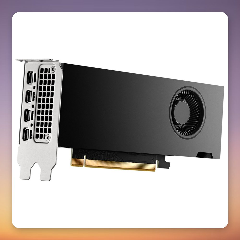 PNY NVIDIA RTX 2000 Ada Generation 16 GB GDDR6 ECC Graphics Card, 4x Mini-DisplayPort – image 3