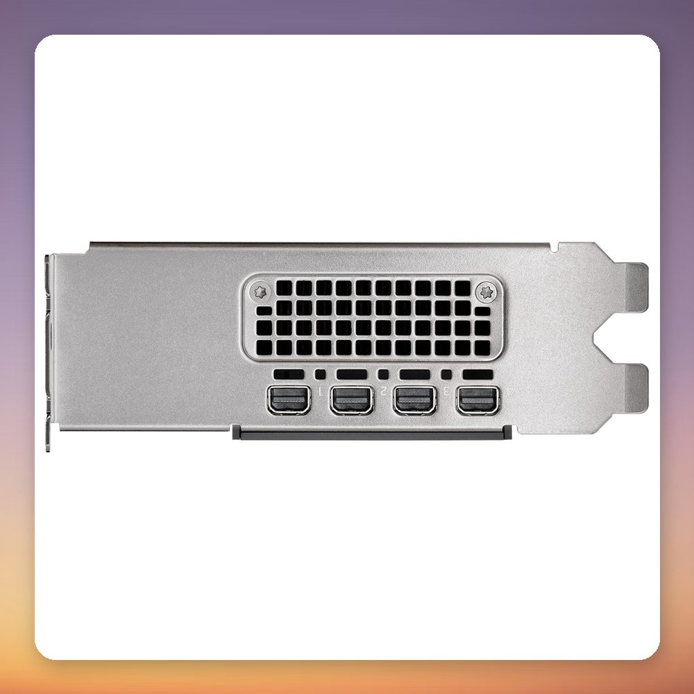 PNY NVIDIA RTX 2000 Ada Generation 16 GB GDDR6 ECC Graphics Card, 4x Mini-DisplayPort – image 5