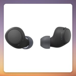 Sony WF-C510 True Wireless In-Ear Earbuds, Black, Bluetooth, IPX4, Multipoint