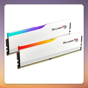 G.Skill Ripjaws M5 RGB 32 GB DDR5-6000 CL28 (2×16 GB) White Intel XMP