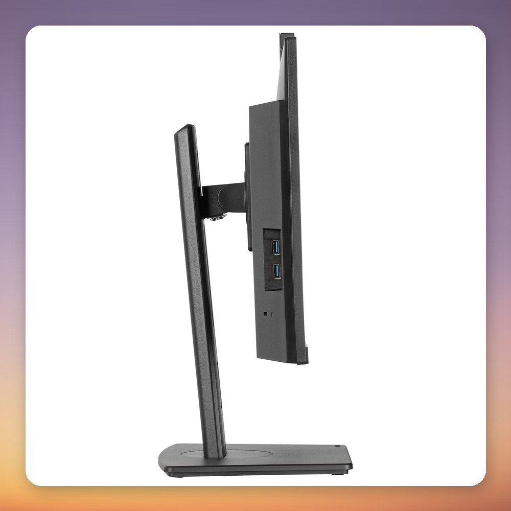 Iiyama ProLite XUB2490HSUH-B2 24" Full HD IPS Monitor, 100 Hz, 5MP Webcam, USB Hub – image 4