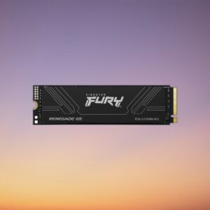Kingston Renegade G5 1 TB NVMe SSD