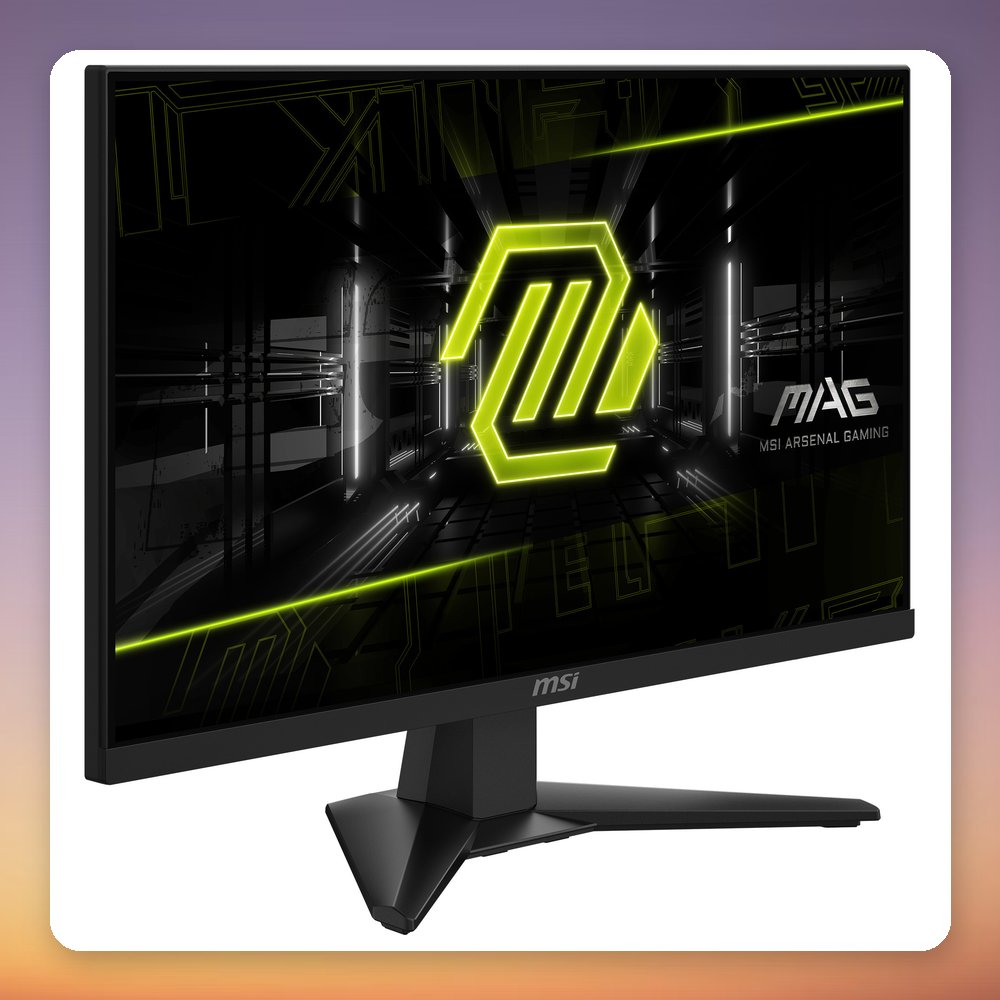 MSI MAG 244F 23.8" Full HD Rapid-IPS 200 Hz Gaming Monitor, Black