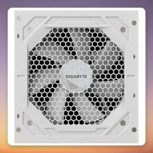 GigaByte UD750GM PG5 ICE 750W 80 PLUS Gold Fully Modular White PSU
