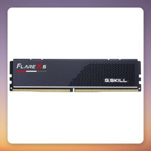 G.Skill Flare X5 16 GB DDR5-6000 CL30 (1×16 GB) AMD EXPO