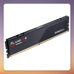 G.Skill Flare X5 16 GB DDR5-6000 CL30 (1×16 GB) AMD EXPO