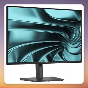 Dell Pro P2426E 24.1 Inch WUXGA IPS USB-C Hub Monitor, 100 Hz, 100W PD