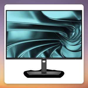 Dell Pro P2426E 24.1 Inch WUXGA IPS USB-C Hub Monitor, 100 Hz, 100W PD
