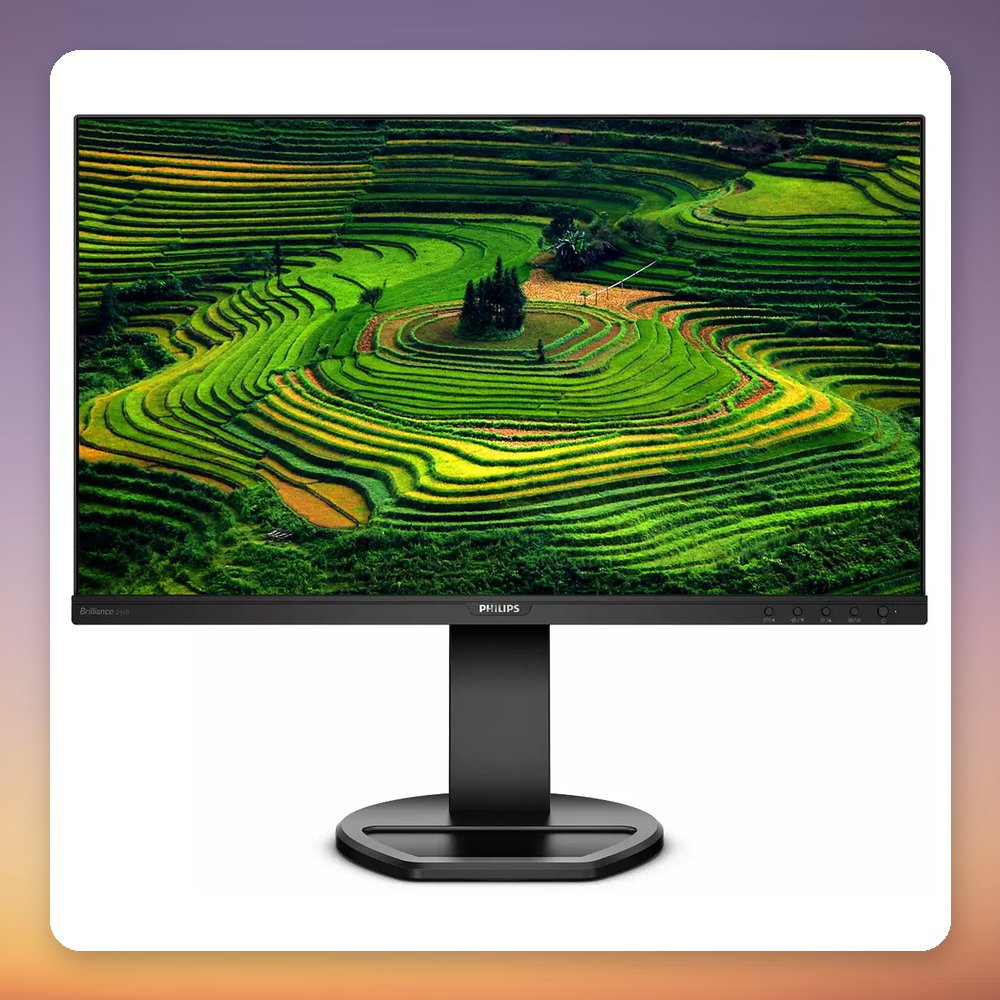 Philips 241B8QJEB 24-Inch Full HD IPS Monitor, 75 Hz, USB 3.2 Hub, Height Adjustable
