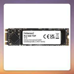 Intenso TOP 1 TB M.2 2280 SATA SSD, 550 MB/s Read, 480 TBW