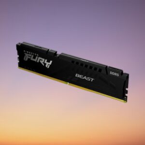 Kingston FURY Beast 32 GB DDR5-5600 Memory