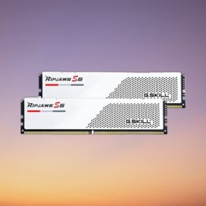 G.Skill 64 GB DDR5-5600 Dual-Kit