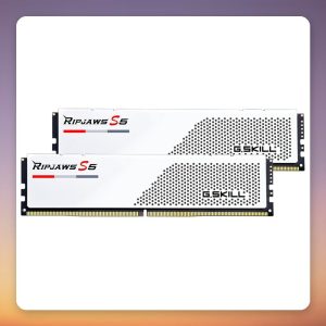 G.Skill Ripjaws S5 64 GB DDR5-6000 CL30 (2×32 GB) Intel XMP, White