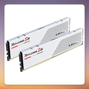 G.Skill Ripjaws S5 64 GB DDR5-6000 CL30 (2×32 GB) Intel XMP, White