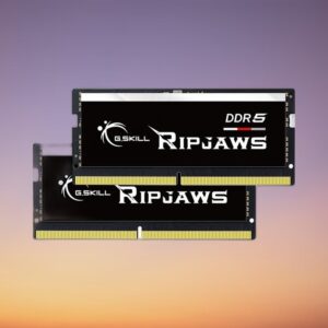 G.Skill Ripjaws 32 GB DDR5-4800 Dual-Kit