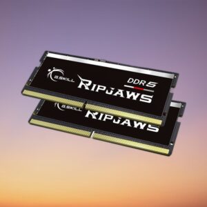 G.Skill Ripjaws 32 GB DDR5-4800 Dual-Kit