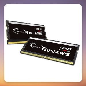 G.Skill Ripjaws 32 GB DDR5-4800 CL34 SO-DIMM (2×16 GB) Intel XMP