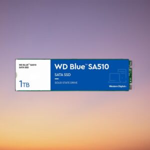 Western Digital Blue SA510 1 TB SSD