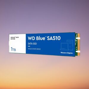 Western Digital Blue SA510 1 TB SSD