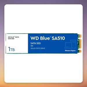 Western Digital Blue SA510 1 TB M.2 2280 SATA SSD
