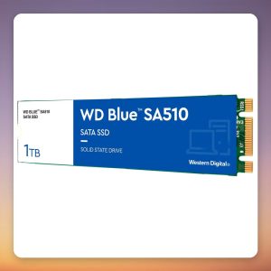 Western Digital Blue SA510 1 TB M.2 2280 SATA SSD