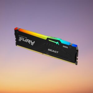 Kingston FURY Beast 16 GB DDR5-5600 RAM