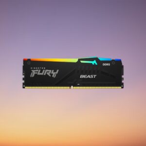 Kingston FURY Beast 16 GB DDR5-5600 RAM