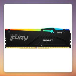 Kingston FURY Beast RGB 16 GB DDR5-5600 CL36 (1×16 GB) XMP 3.0 / AMD EXPO