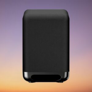 Sony SA-SW5 Subwoofer