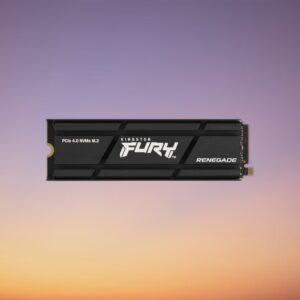 Kingston Renegade Heatsink 1 TB NVMe M.2 SSD