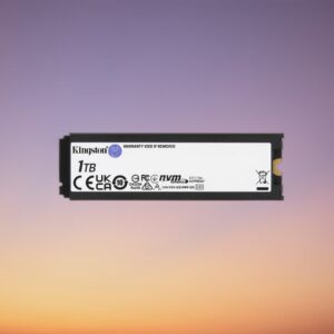 Kingston Renegade Heatsink 1 TB NVMe M.2 SSD