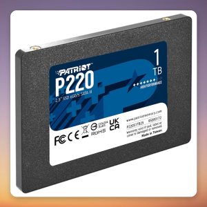 Patriot P220 1 TB SATA III 2.5″ SSD, 550 MB/s Read, 480 TBW