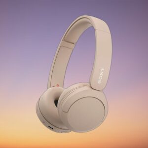 Sony WH-CH520 Wireless Headphones