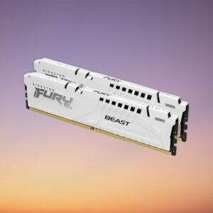 Kingston FURY Beast 32 GB DDR5-5600 Dual-Kit
