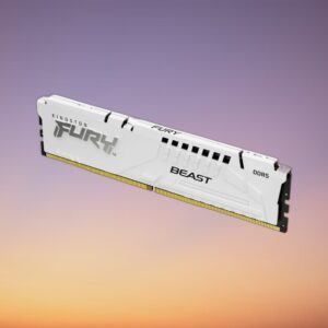 Kingston 32 GB DDR5-5600 Memory Module