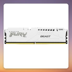 Kingston FURY Beast 32 GB DDR5-5600 CL36 (1×32 GB) AMD EXPO White