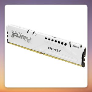 Kingston FURY Beast 32 GB DDR5-5600 CL36 (1×32 GB) AMD EXPO White