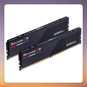 G.Skill Ripjaws S5 48 GB DDR5-6000 CL40 (2×24 GB) Intel XMP