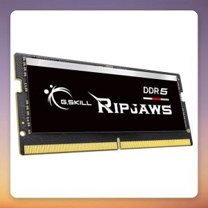 G.Skill Ripjaws 32 GB DDR5-5600 CL46 SO-DIMM (1×32 GB) Intel XMP