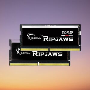 G.Skill Ripjaws 64 GB DDR5-5600 Dual-Kit