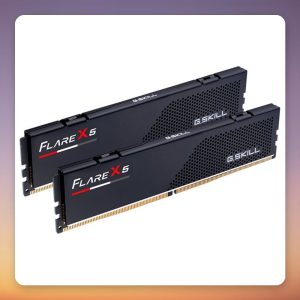 G.Skill Flare X5 64 GB DDR5-6000 CL30 (2×32 GB) AMD EXPO
