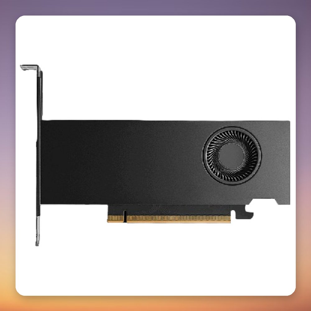 NVIDIA RTX PRO 2000 Blackwell 16 GB GDDR7 ECC Low Profile Graphics Card, 4x Mini-DisplayPort