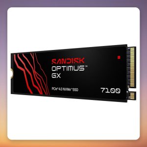 Sandisk Optimus GX 7100 2 TB PCIe 4.0 x4 NVMe 2.0 M.2 2280 SSD, Black