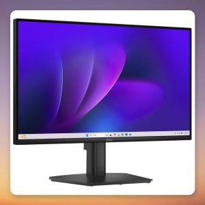 Dell Pro E2226H 21.5 Inch Full HD IPS Monitor, 100 Hz, HDMI/DP/VGA